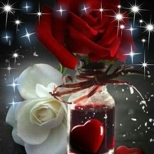 Meet your Posher, Alison